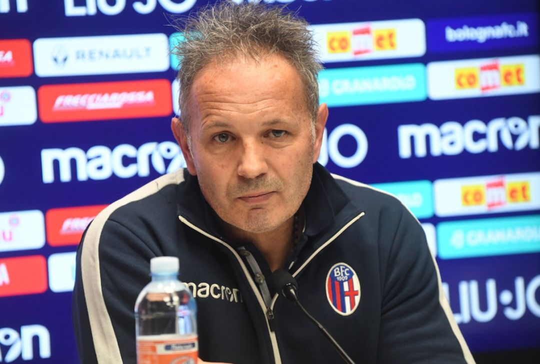 赛风格与队 赛风格与队