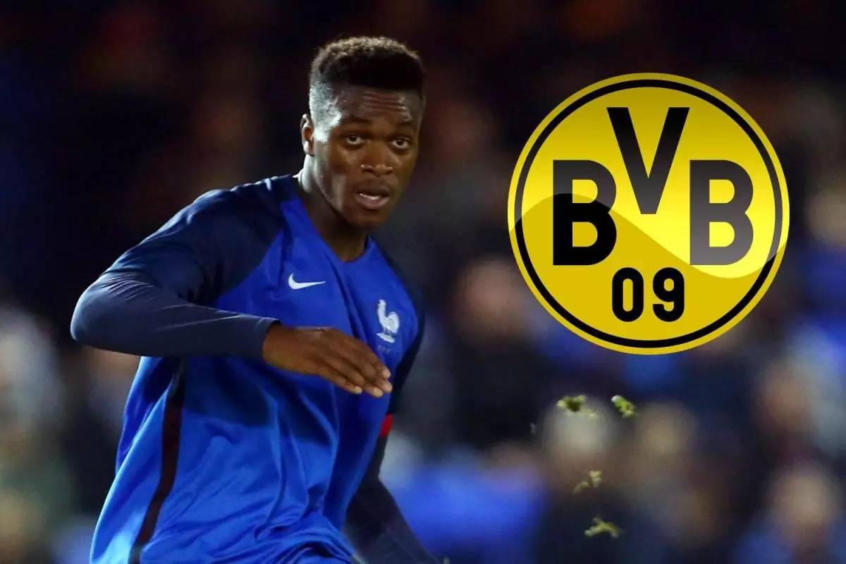 的适应力 的适应力