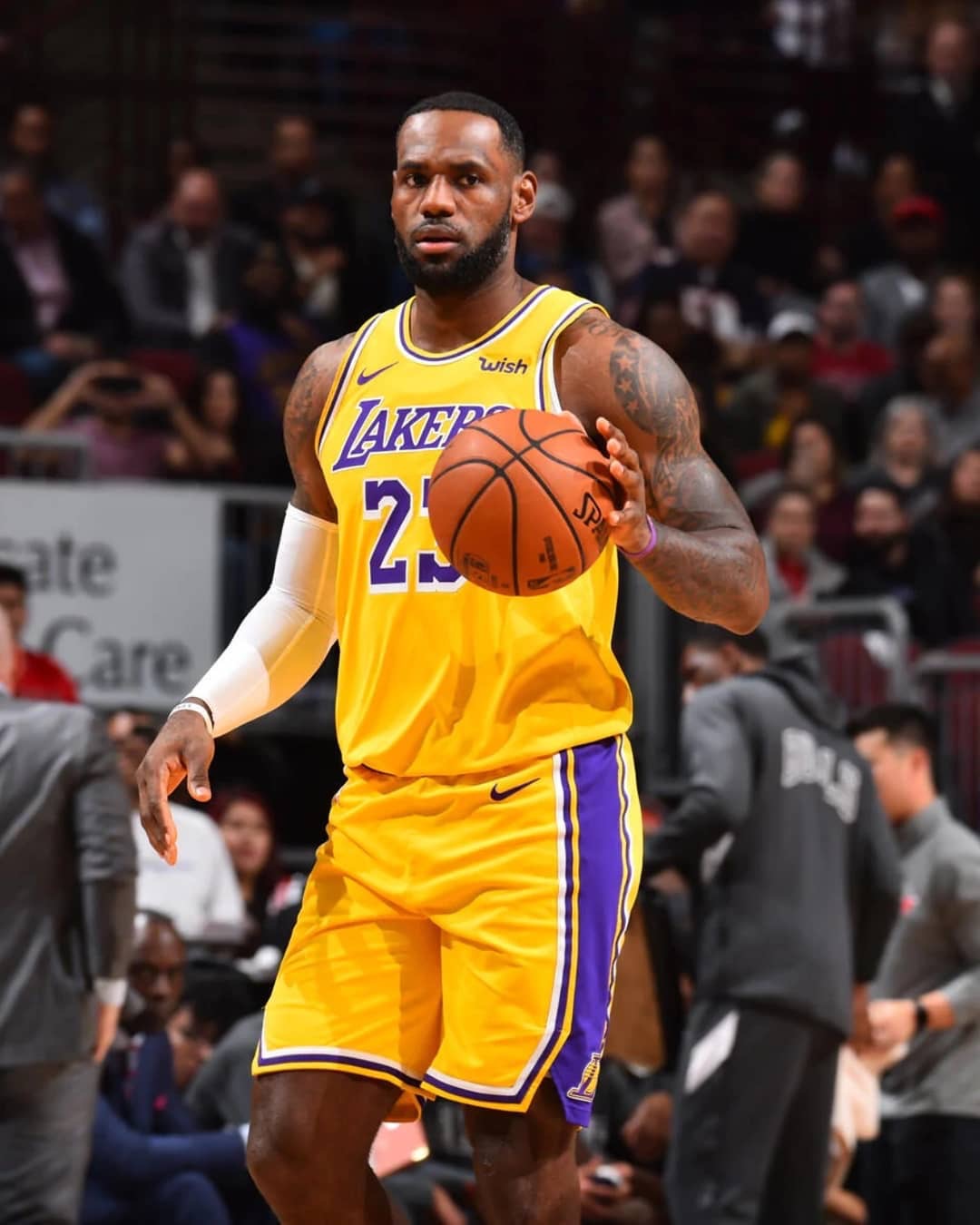 本文聚焦三 本文聚焦三